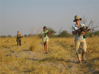 In Moremi Game Reserve
