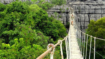 Suspension bridge, Ankárana Special Reserve 